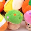 Pet Products