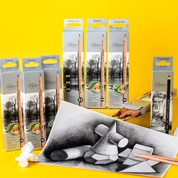 Beginner set sketching pencils professional art painting log charcoal pencil Matte soft medium hard art pencils graphite alot