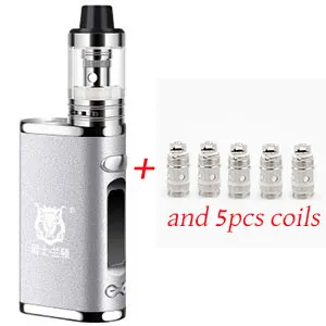 Silver and 5 coils Электронная сигарета, регулируемый vape 80 Вт, комплект модов, Встроенный 2000 мАч, батарейный блок, 3 мл, бак, электронная сигарета, большой дымовой Атомайзер - Цвет: Silver and 5 coils
