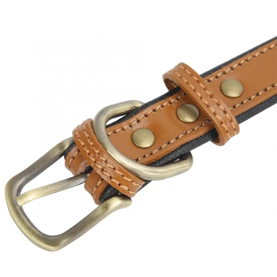 Pet Collar Light Brown Metal Buckle Head Pet Collar Neck Strap for Small Medium Size Dogs Collars Pet Supplies