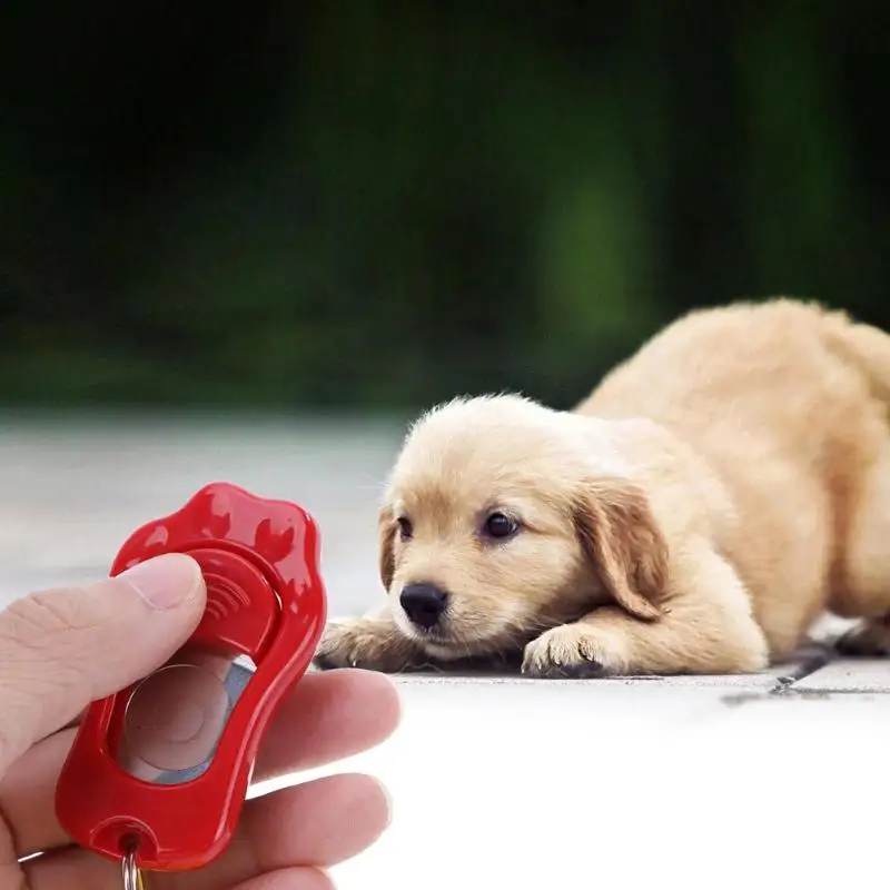 Домашнее животное Кошка Собака Обучение кликер пластик регулируемый ручной браслет ремень звуковой брелок для ключей поддерживать физическое и умственное здоровье Забавный
