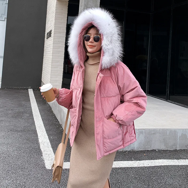 

Photo Shoot Original CHIC Large Fur Collar Corduroy Cotton Coat Women's Short Short-height down Feather Cotton-padded Clothes IN