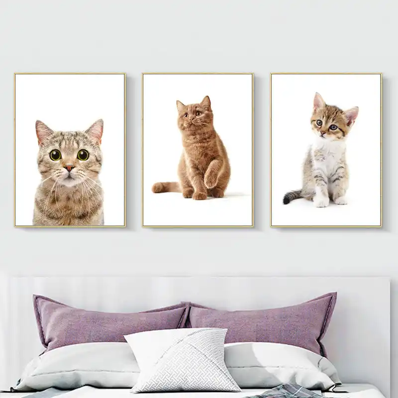 動物ミニマリストポスター写真アート白背景かわいい猫壁画壁アートキャンバスプリント寝室の家の装飾 絵画 書道 Aliexpress