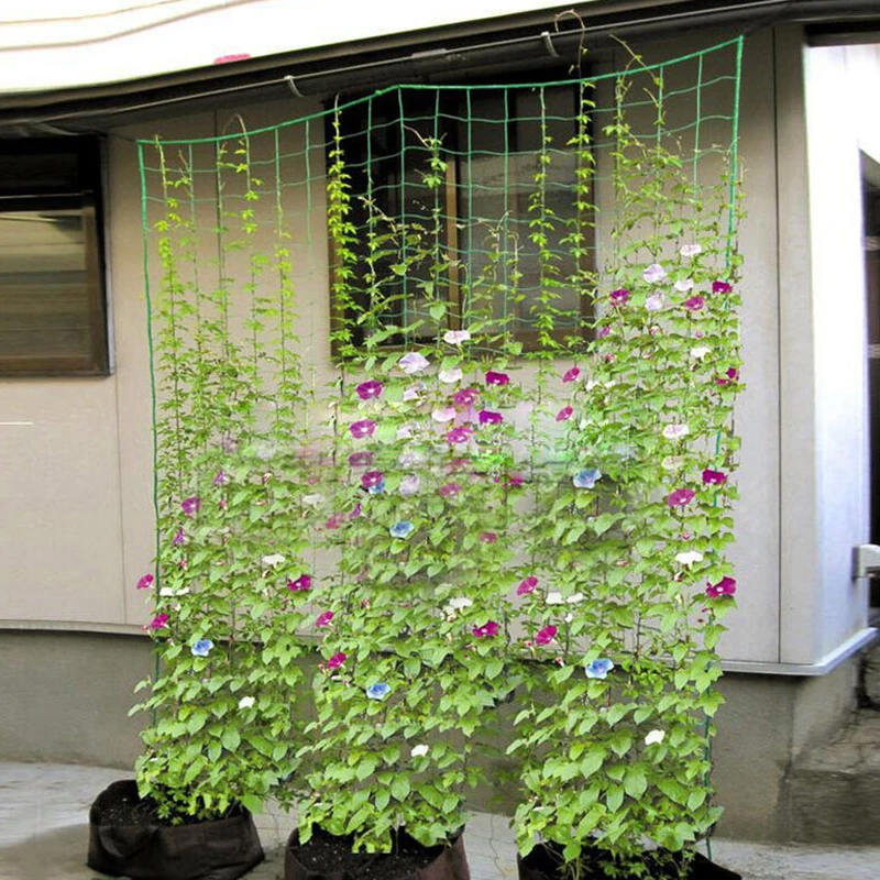 Сетка для выращивания дыни фруктов ягод винограда цветов огурцов сетка растений