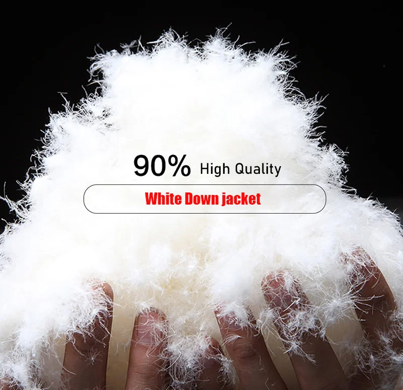 2.jpg_.webp 2.jpg_.webp