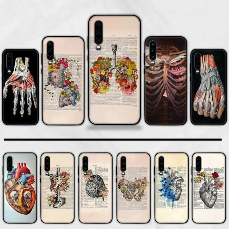 

Human Anatomy Phone Case For Huawei P9 P10 P20 P30 Pro Lite smart Mate 10 Lite 20 Y5 Y6 Y7 2018 2019