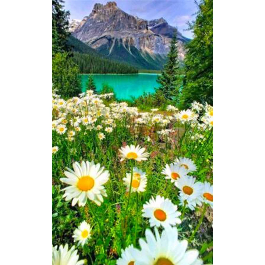 Pittura Diamante 5D Fai Da Te Mountain Wild Daisy Flower Picture Square Round Diamond Art Pendant Landscape Cross Stitch Kit Wg2738