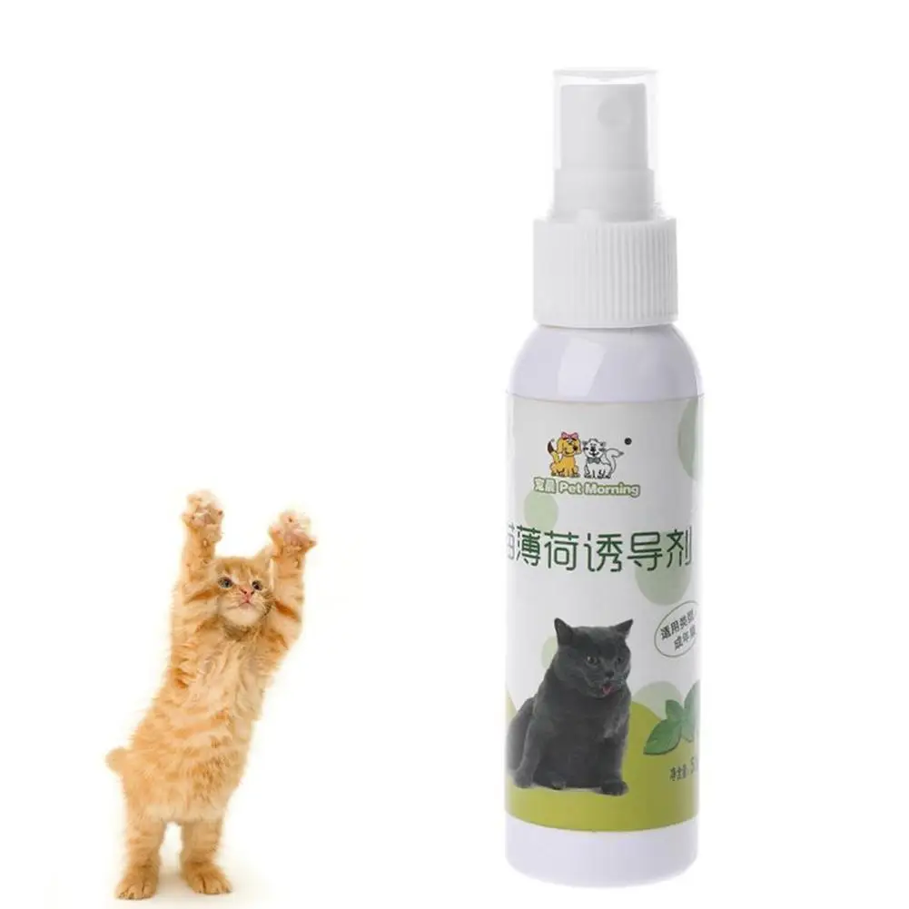 50ml Catnip Spray Cat Excitement Toy Cat Organic Natural Scratch Healthy Inducer Catnip Funny Scratch Toy