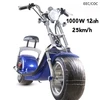 blue 1000W 12AH