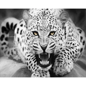 

Black leopard DIY framed decorative Painting by Number kits Diy Oil Canvas Coloring By Numbers Digital Painting Home Decor