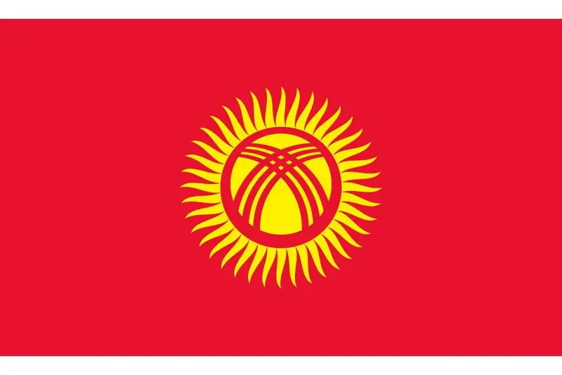 1 сом 1993 года. P 4 UNC оригинал|Безвалютные монеты| |