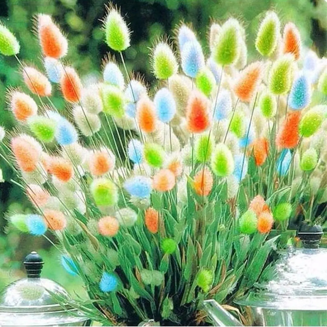 

simulation Rabbit Tail Grass Bunch 30Pcs/lot Natural Dried Flowers Colorful Real Flower Bouquet for Home Wedding Decoration