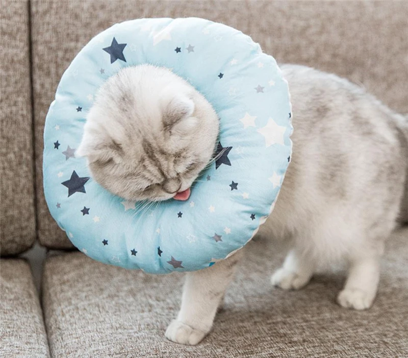 企业微信截图_20191016150406