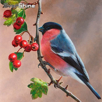 

EverShine 5D DIY Diamond Painting Bird Cross Stitch Diamond Embroidery Animals Rhinestones Art Bead Picture Kits Home Decor