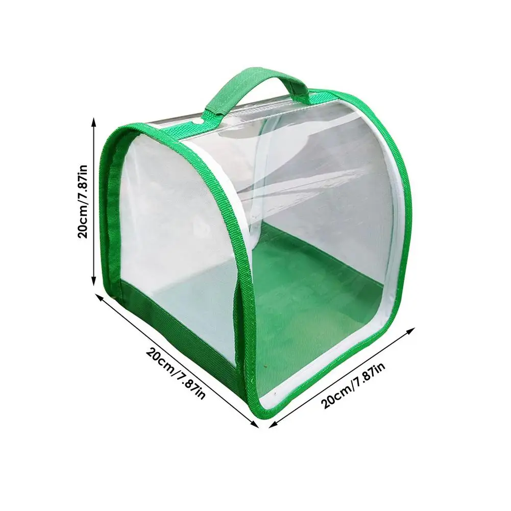 Green Collapsible Insect Cage Mesh Insect Habitat Cage Butterfly Mantis