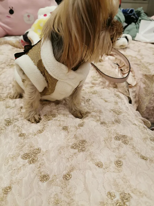 IMG_20190803_203911_副本