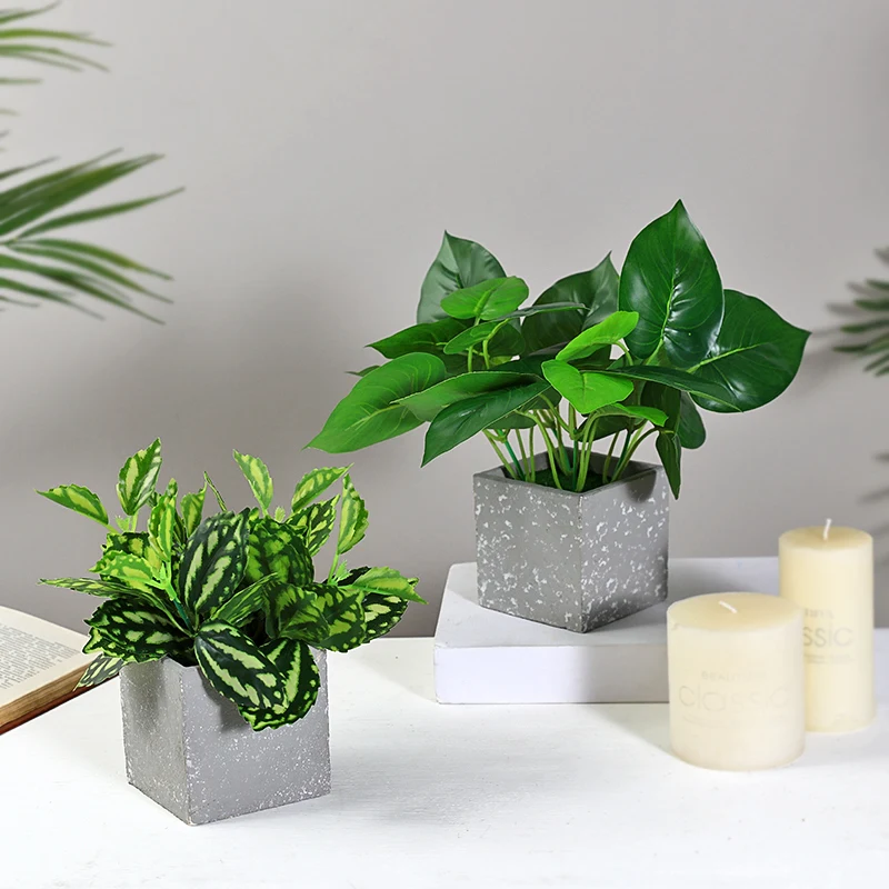 O1CN01sAePoq24JxyEb4OXP_!!1904287371