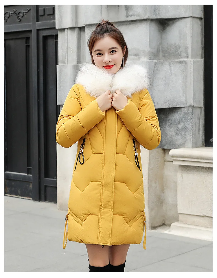 Cotton_20.jpg