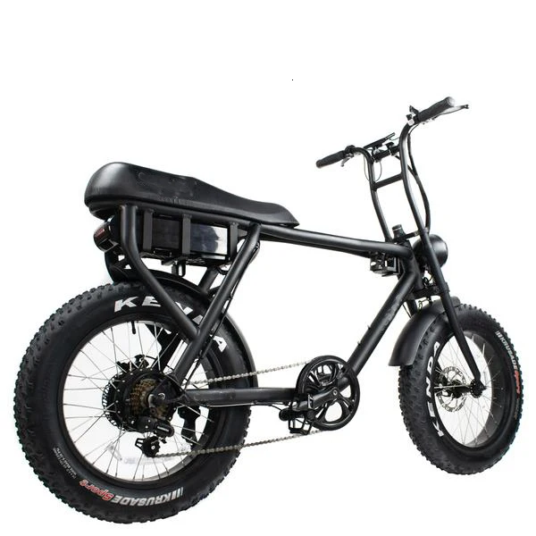 750w/1000w seat for double men 48v V-B08Mlong fat tire ebike