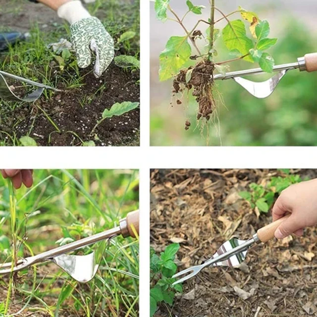 Fa Fogantyú Rozsdamentes Acél Kerti Gyomnövényes Eltávolító Vágó Dutlós Pitypang Húzó Szerszám Használata - Image 6