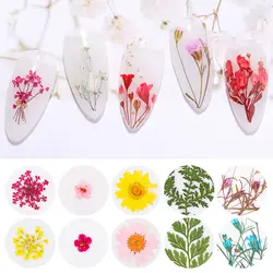1 сумка сушеные цветы 3D сухие цветы гортензии украшения для ногтей красота для дизайна ногтей аксессуары для ногтей DIY Инструменты