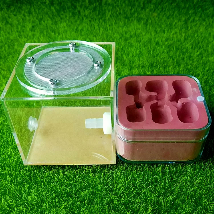 Plaster Ant Nest Acrylic Ant Farm Ants Queen House Insect Cage Anthills Pet Ant House Granja De Hormigas Hormiguero (11)
