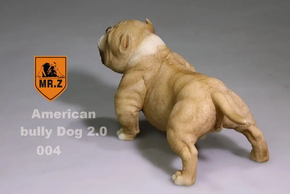 

1/6 Scale for 12" aucion figure "Mr.Z" American bully pitbull 004