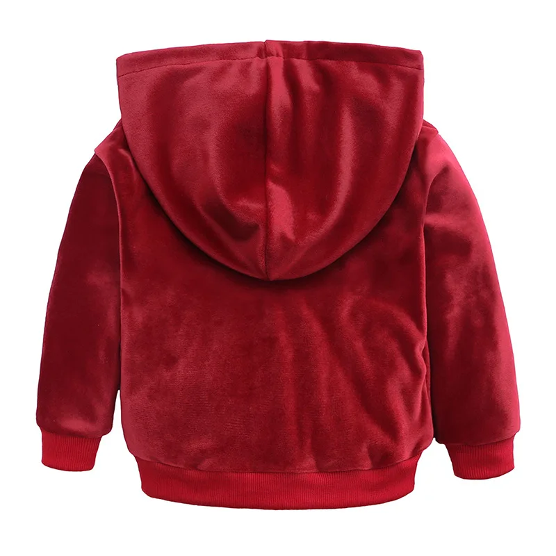 Spring Girls Clothing Sets Kids Gold Velvet Tracksuit Baby Boys Cartoon Hooded Coats Pants Suit Children Sportswear Clothes Set (19)