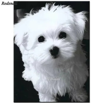 

Full drill Animal dog Diamond Embroidery pet diy Diamond Painting Mosaic picture of rhinestone home decor wihte Maltese YY2405