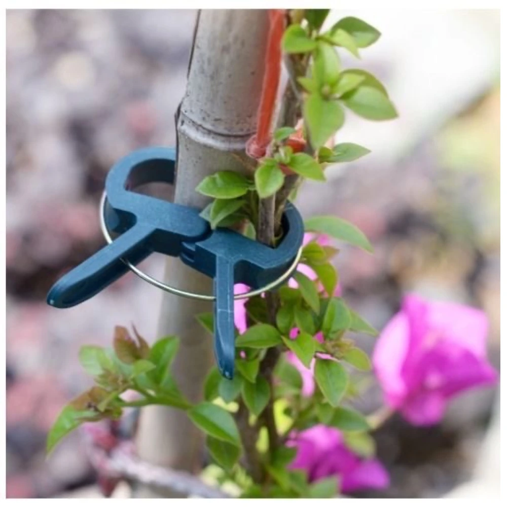 Details about   100/50 Plant Support Greenhouse Clips Twist Vine Stems Flower Grow Upright Clamp 