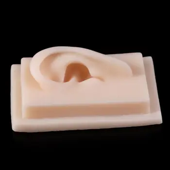 

Hearing Aid For Silicone Left Ear Acupuncture Practice Model Human Anatomical Anatomy Model Teaching Tools Medical Supplies