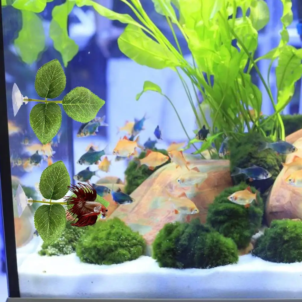 Betta кровать лист гамак моделирование водная трава Ландшафтный аквариум Декор для аквариума Betta рыба нерт украшение из листьев