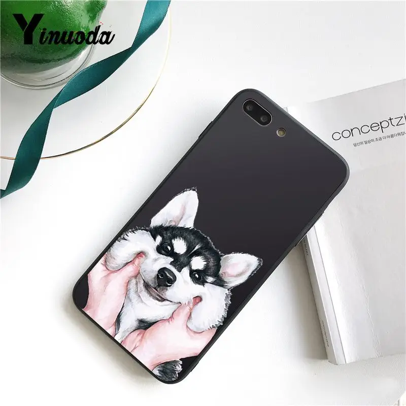 Cute  French Bulldog cartoon dog and cat