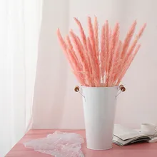 Натуральный сушеный камышовый букет, маленькие папы, трава, фрагмиты, Свадебный декор, 15 шт./набор, домашний декор, Sztuczne Kwiaty