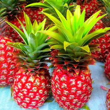 

Plant Fruits Bath Salts Mini Pineapple Essence 30Pcs SG-16-A