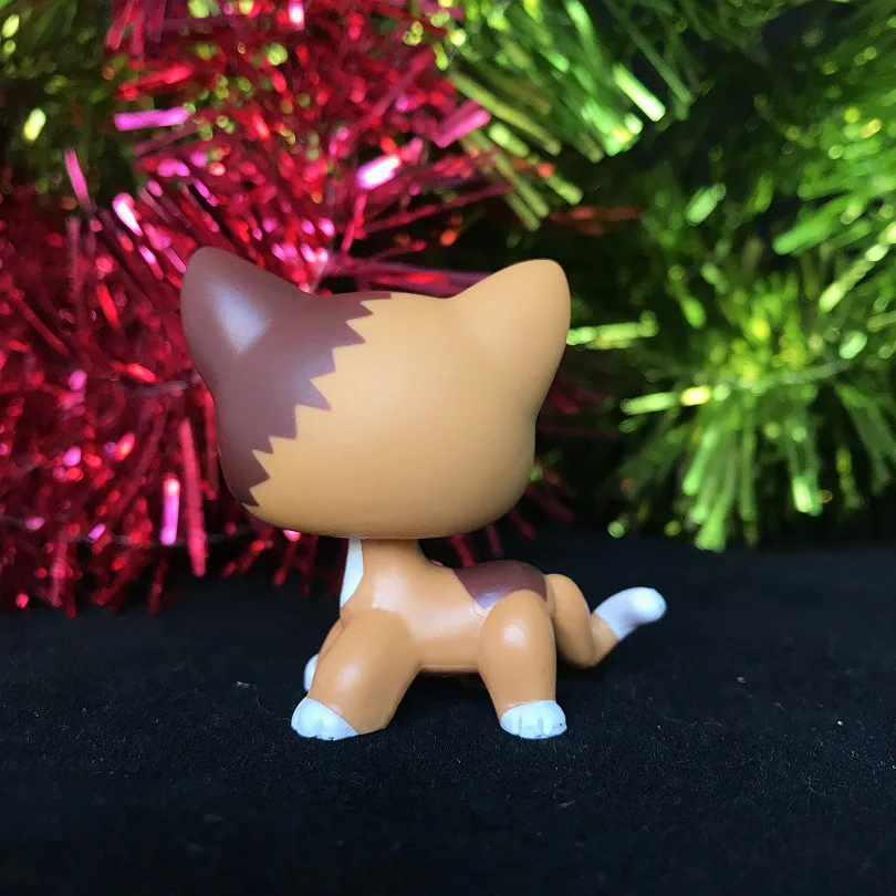 Зоотовары новые Пламенные кошки очень редкие с 4 аксессуарами для ваших детей