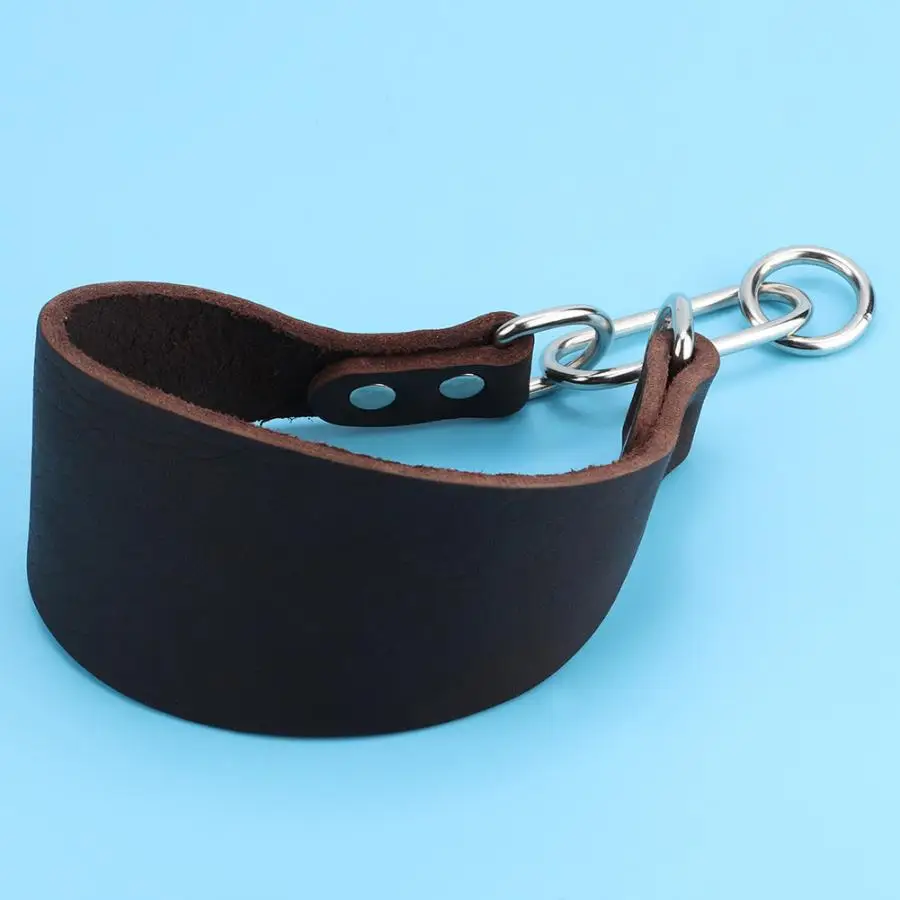 Large Leather Dog Collar Greyhound Lurcher Whippet Saluki BLACK MATT Large Leather Dog Collar Greyhound Lurcher Whippet Saluki BLACK MATT