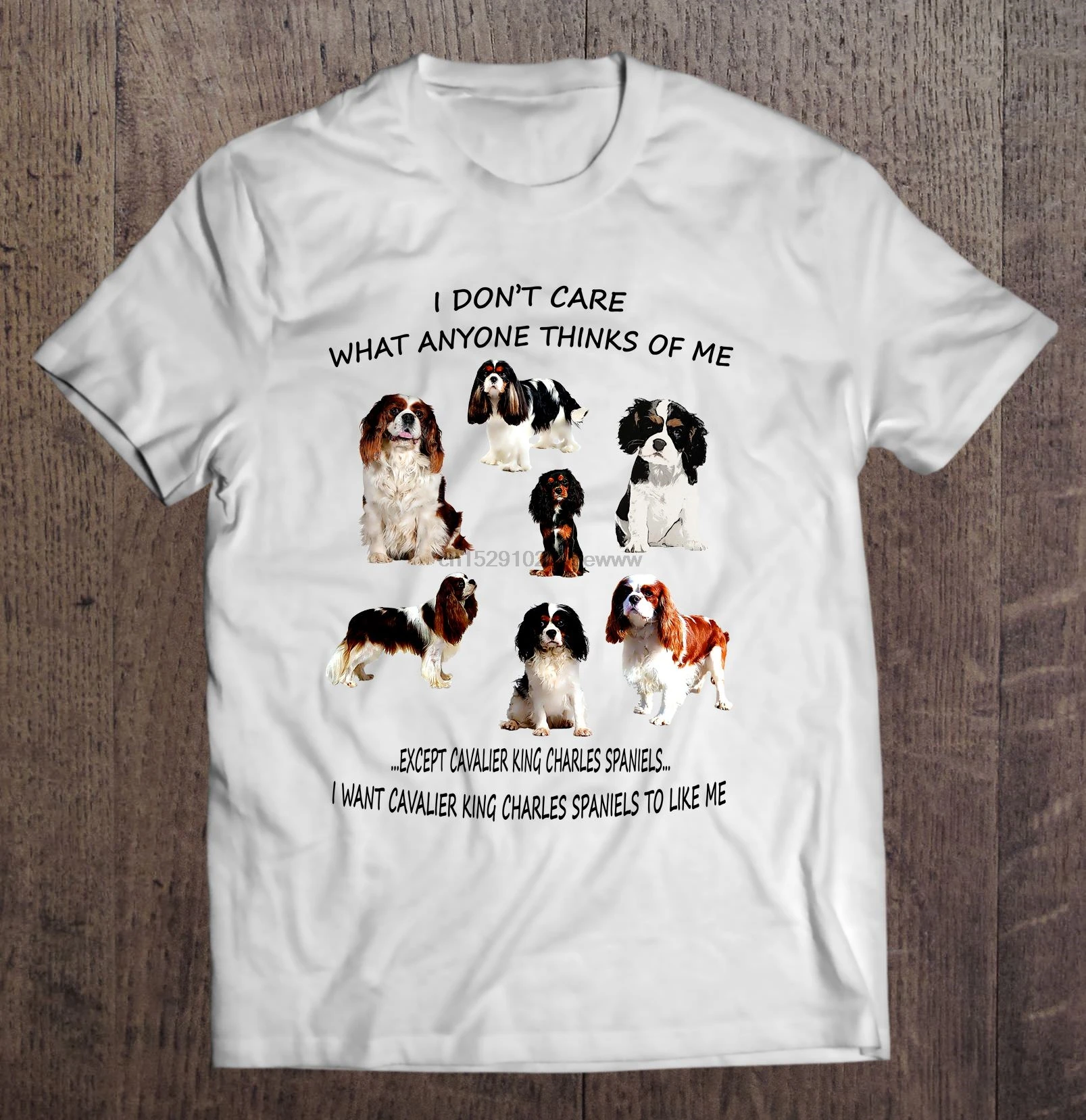 

Men T Shirt I Don t Care What Anyone Thinks Of Me Except Cavalier King Charles Spaniel I Want Dogs To Like Me Women t-shirt