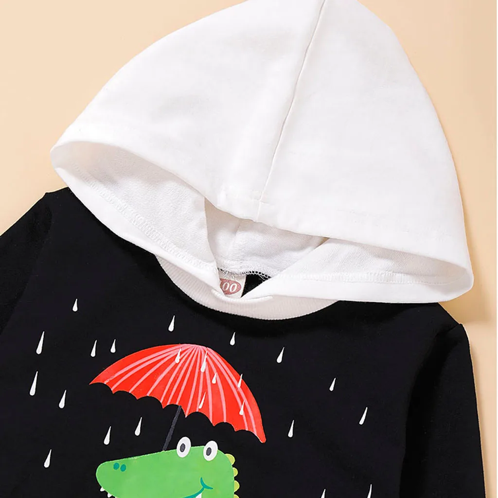 Зимняя детская одежда для мальчиков преддошкольного возраста детская одежда для мальчиков; куртка с капюшоном Блузка с длинным рукавом с изображением динозавра из мультфильма топы с принтом Bluza Chlopieca Modis#3s