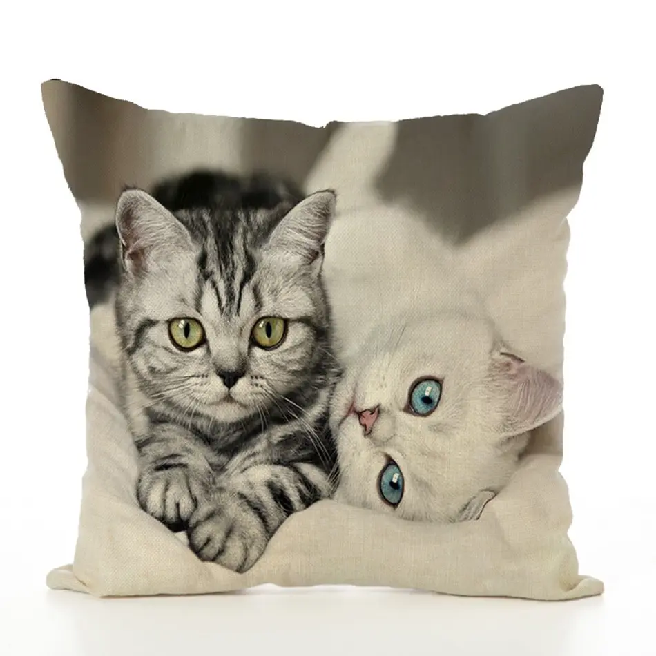 7390732111_941492023