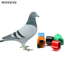 100 шт./лот Водонепроницаемый ABS птица голубь 125 кГц RFID животное кольцо для ног тег с TK4100 чипы для отслеживания управления