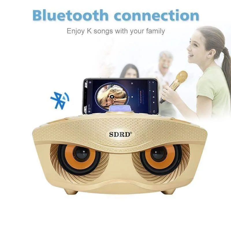 Черный двойной беспроводной микрофон Bluetooth динамик мобильный беспроводной караоке динамик беспроводной стерео динамик набор Рождественский подарок