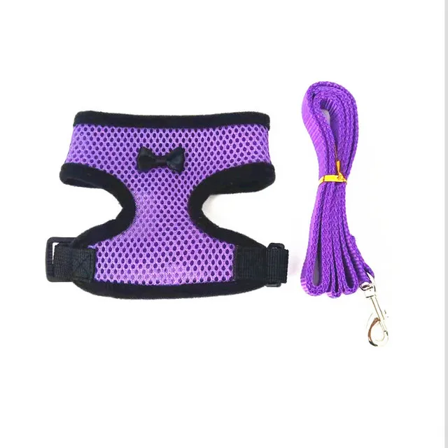 Purple(with leash)