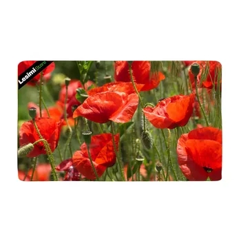 

Welcome Doormats Non-Slip Floor Mat Rugs for Entrance Way/Indoor/Front Door/Bathroom/Kitchen, Shoe Scraper Carpet 18x30 Inch