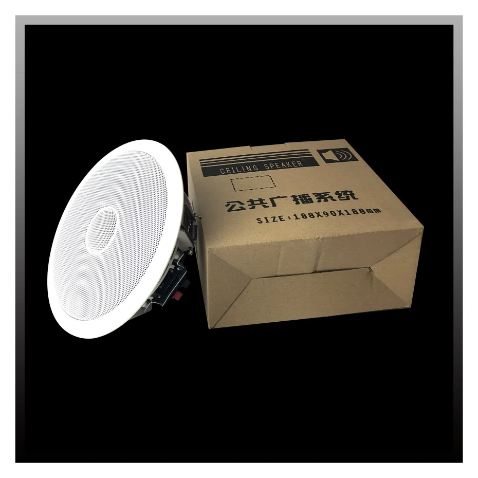 speakers for ceiing10