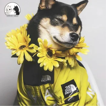 

Dog Raincoat Jacket Clothes Windproof Cat Dog Jacket Fashion Waterproof Reflective Pet Clothing Large dog Pets Coat the dog face