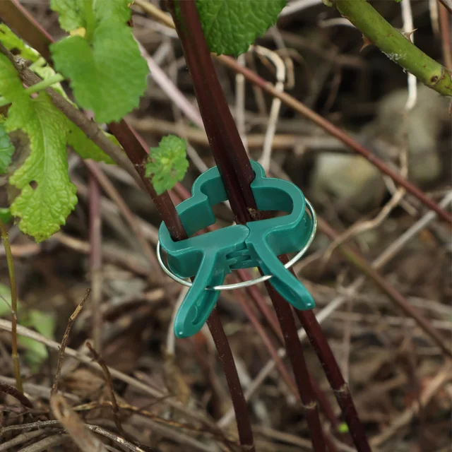 20 Pcs Műanyag Növényi Klipek Cukornád Tartó Rugós Szorító Állvány Rögzítőelem Paradicsom Nyakkendő Virágok Orchidea Meredő Palánták Szerszám - Image 2