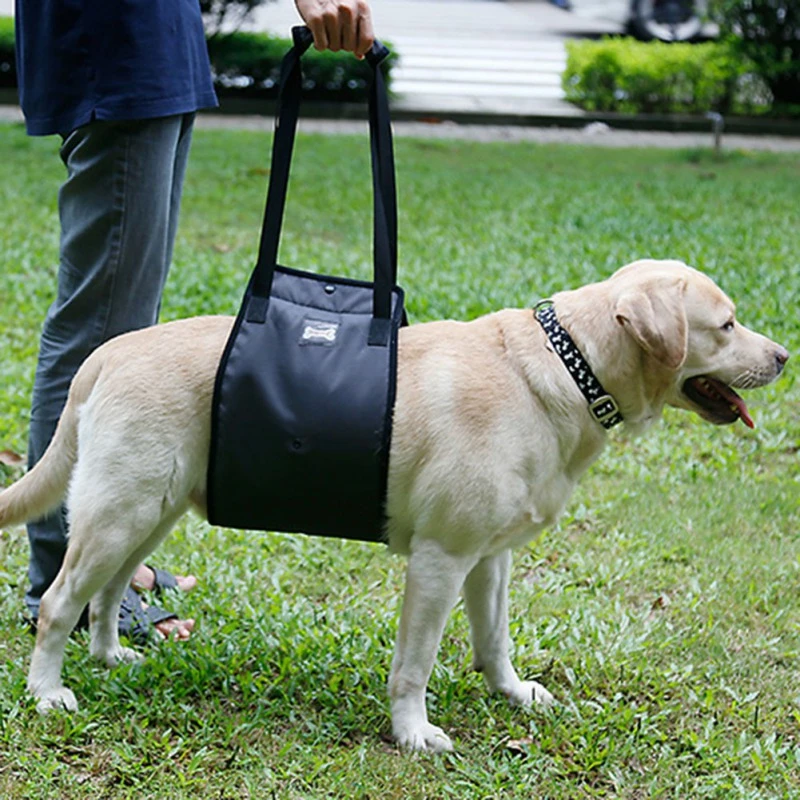 Portable Dog Sling For Back Legs Hip Support Harness To Help Lift Dogs