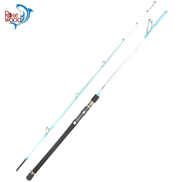 saltwater jigging rods