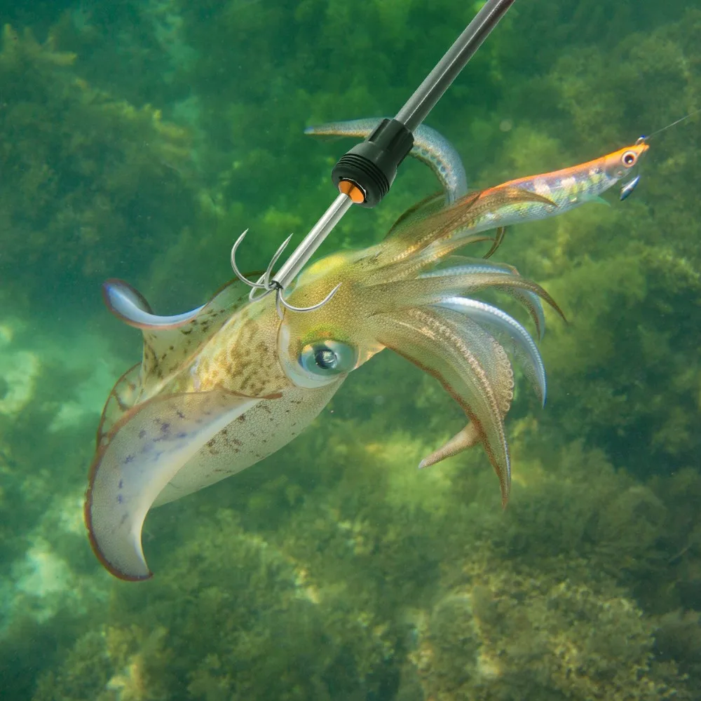 Gancho Squid Chocos Capítulo 12 mm de